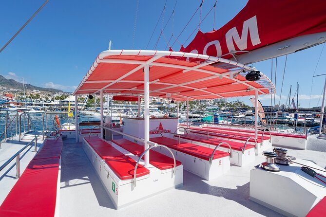 Tour with Whale and Dolphin Watching plus food included - The onboard spotting game: how to get the most from guide commentary