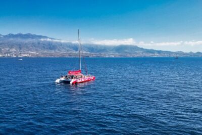 Tour with Whale and Dolphin Watching plus food included - Costa Adeje and the ZEC waters: where dolphins, whales, and birds fit in