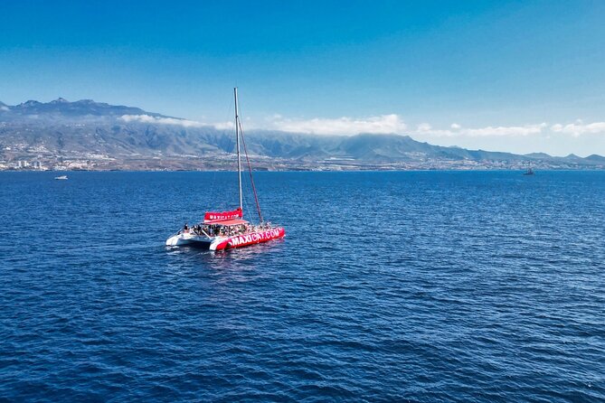 Tour with Whale and Dolphin Watching plus food included - Costa Adeje and the ZEC waters: where dolphins, whales, and birds fit in