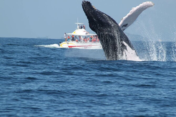 Tour with Whale Watching in Samaná, Beach and Waterfall - El Salto del Limón: the waterfall stop that changes the pace