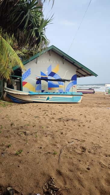 Trincomalee: Dolphin & Whale Watching Boat Tour - Key things to know before you go
