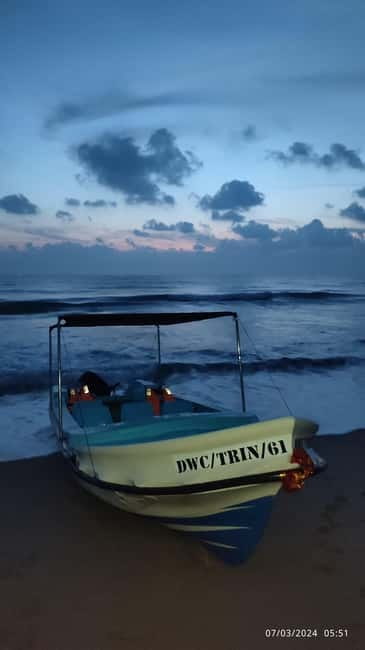 Trincomalee: Dolphin & Whale Watching Boat Tour - Should you book this Trincomalee dolphin and whale tour?