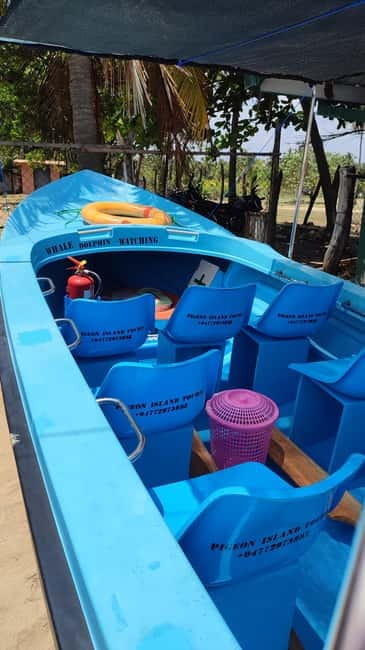 Trincomalee: Dolphin & Whale Watching Boat Tour - What you’re really chasing: dolphins plus blue and sperm whales