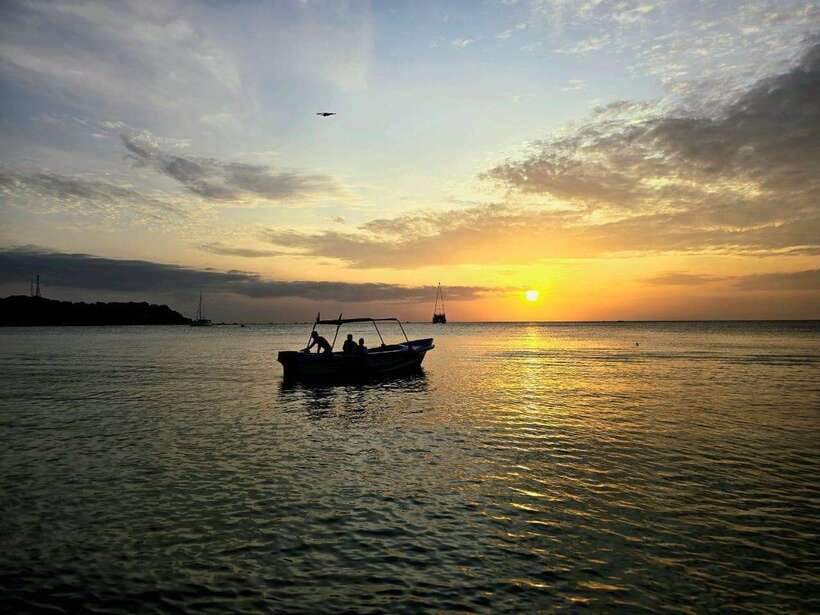 Trincomalee : Whale & dolphin watching +pigeon island tour - The open-water hunt: how the whale and dolphin search actually feels