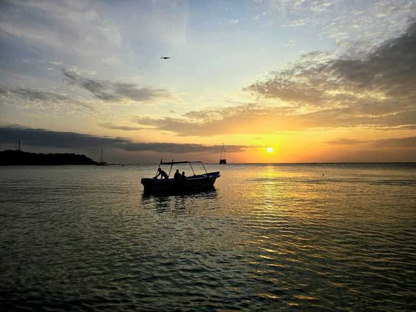 Trincomalee : Whale & dolphin watching +pigeon island tour - Pigeon Island snorkeling + guide tour: what you’re really paying for