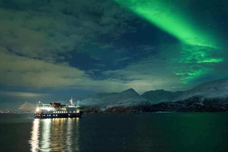 Tromsø: 24hr Northern Lights & Whale Watching Cruise - Key Things That Make This Cruise Work