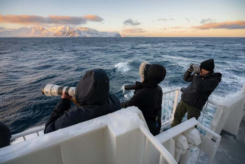 Tromsø: 24hr Northern Lights & Whale Watching Cruise - Leaving Tromsø Proper: Where the Night Starts