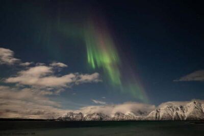 Tromsø: 24hr Northern Lights & Whale Watching Cruise - First Dinner at Sea: Warm Food and a Plan for the Night