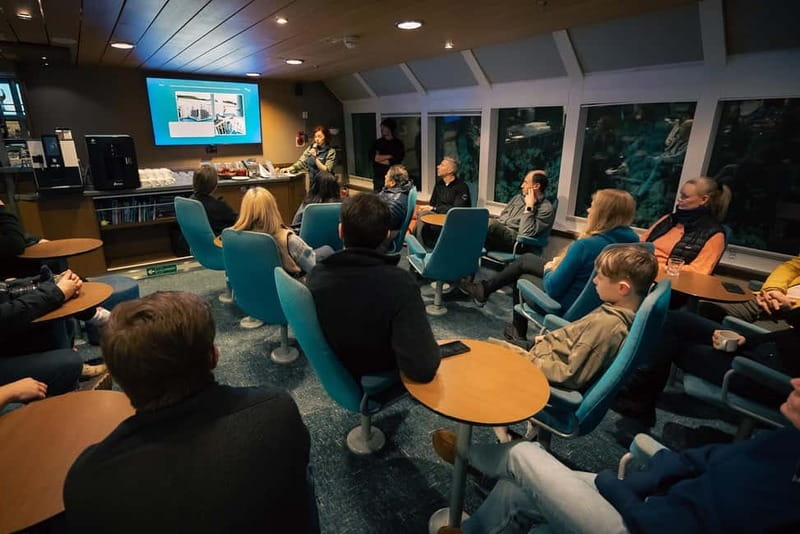 Tromsø: 24hr Northern Lights & Whale Watching Cruise - How to Watch Whales from a Deck (Without Burning Out)