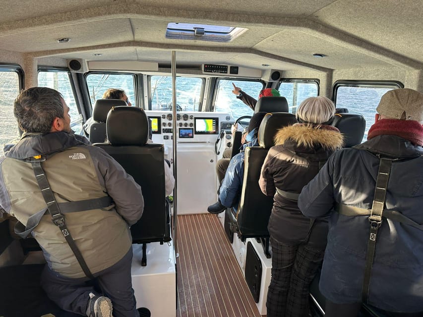 Tromsø: Orca and Whale Watching comfort heated boat Trip - The full day plan from Tromsø to Skjervøy (and where time really goes)