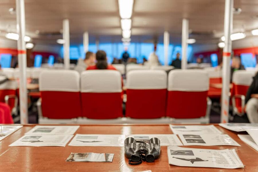 Tromsø: Responsible Whale Watching Cruise Aboard MS Alba - Warmth, Snacks, and What to Pack for a Real Winter Day