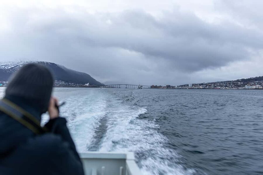 Tromsø: Responsible Whale Watching Cruise Aboard MS Alba - Who This Cruise Fits Best (and Who Should Rethink It)