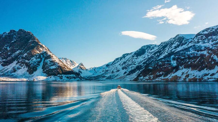 Tromsø Whale Safari with MS Keiser Wilhelm - Key things I’d focus on before you go