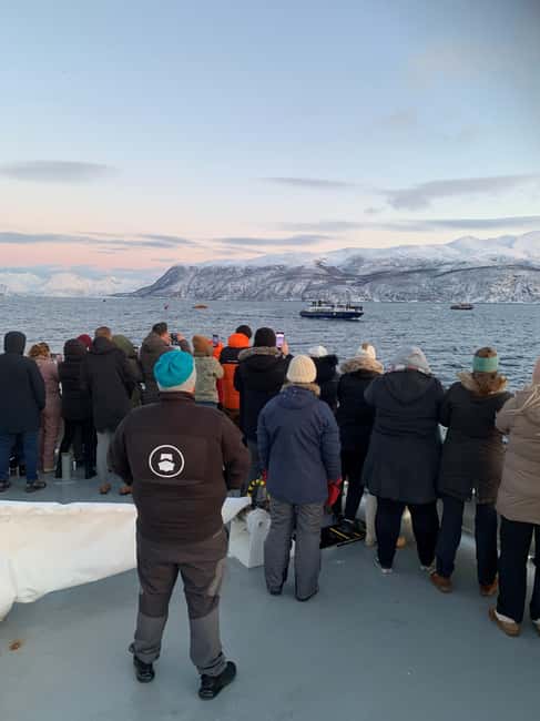 Tromsø Whale Safari with MS Keiser Wilhelm - The 6-hour rhythm: meeting at Nerstranda Quay to first whale sightings
