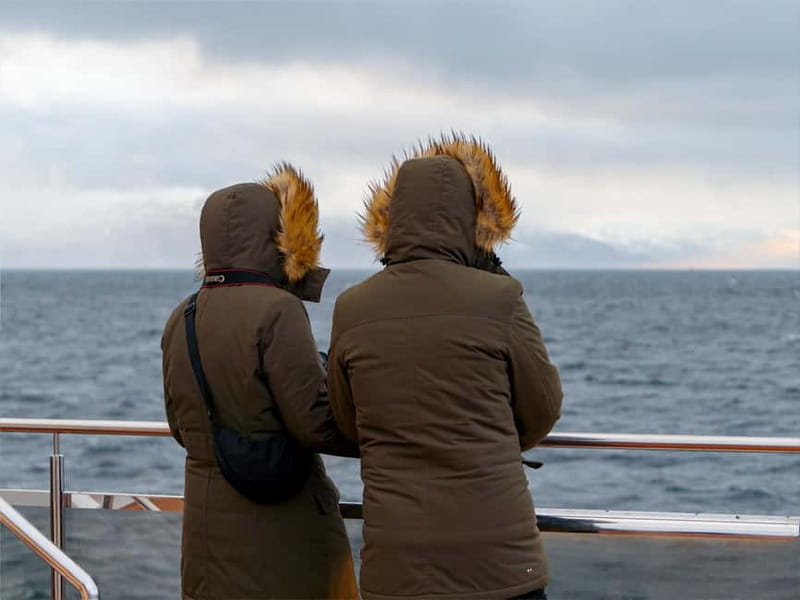 Tromsø: Whale Watching on hybrid boat with scenic bustrip - Key things that stand out on this Tromsø–Skjervøy whale watch
