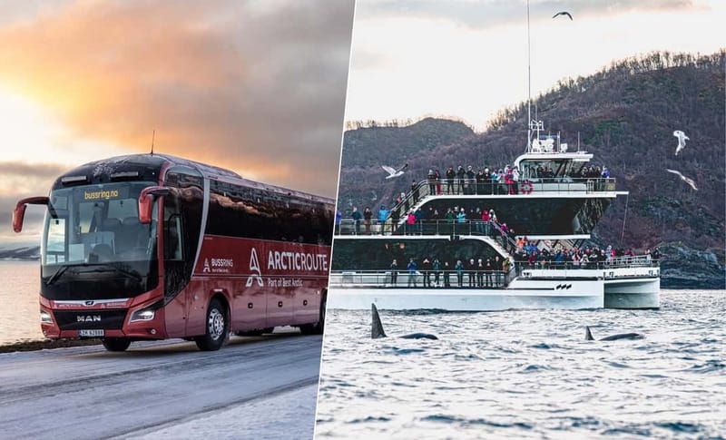 Tromsø: Whale Watching on hybrid boat with scenic bustrip - How the 9-hour day flows between Tromsø and Skjervøy