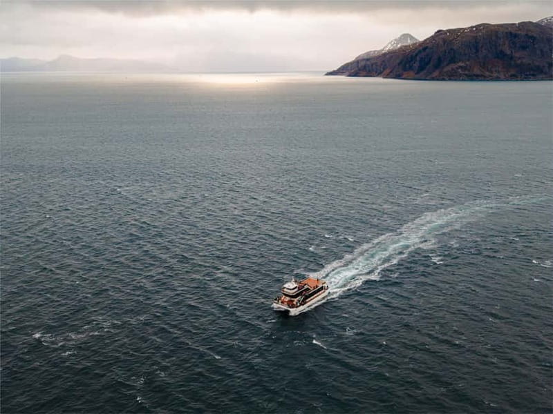 Tromsø: Whale Watching on hybrid boat with scenic bustrip - Who should book this Tromsø hybrid-electric whale watch