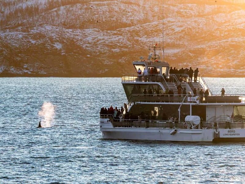 Tromsø: Whale Watching Tour by Hybrid-Electric Boat - The fjords between Tromsø and the whale grounds: photo stops that break up the ride