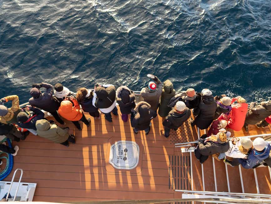 Tromsø: Whale Watching Tour by Hybrid-Electric Boat - Who this tour is best for (and who should think twice)