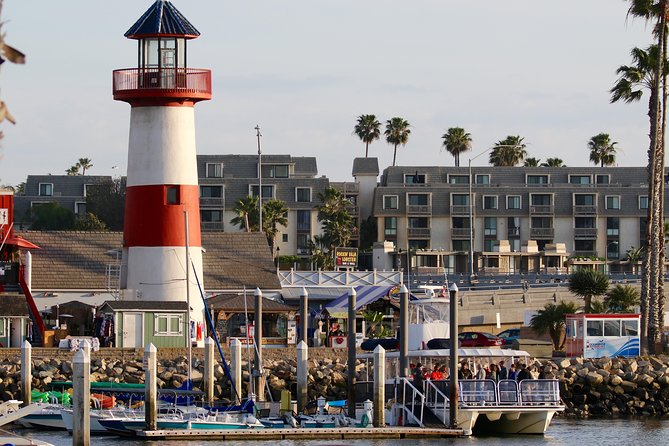 Two-Hour Luxury Whale Watching Tour from Oceanside - Certified Naturalist Narration: How You’ll Actually Spot Whales and Dolphins