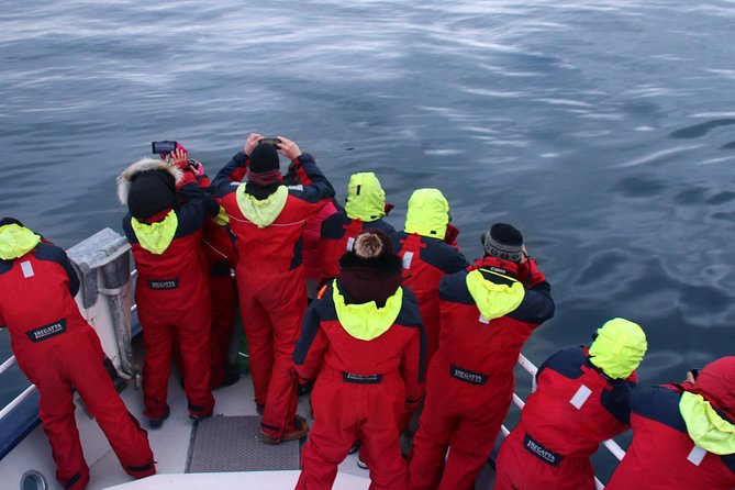 Two-In-One: Whale & Puffin Watching Tours from Reykjavik - Practical Logistics: Meeting Point, Group Size, and Timing
