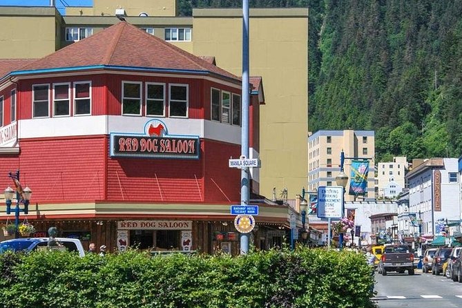 Ultimate Juneau Whale Watch and Mendenhall Glacier View - Price and value: what you pay for and what you get for $156