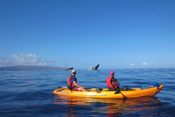 Ultimate Maui Whale Watch Snorkel Tour - Snorkeling gear, water, and the small comforts that add up