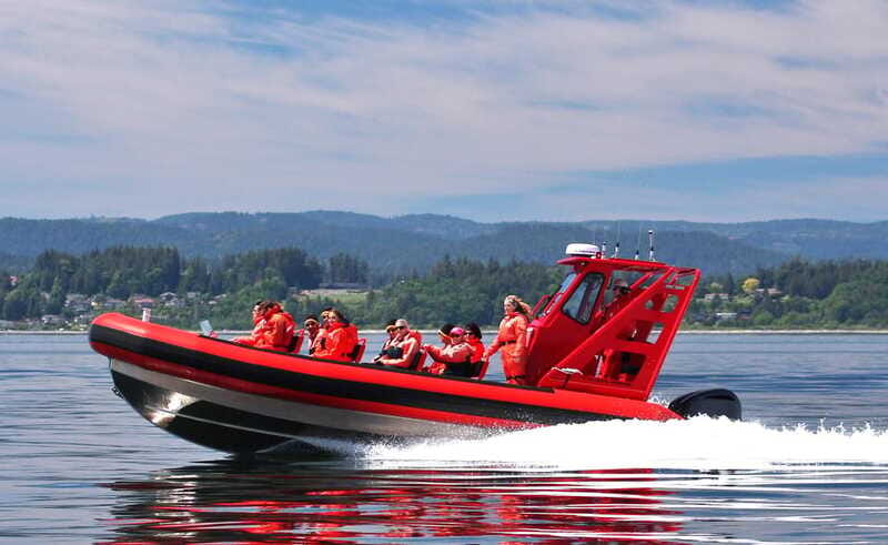 Vancouver, BC: Whale Watching Tour Small Zodiac with Guide - Should You Book This Vancouver Whale Watching Tour?