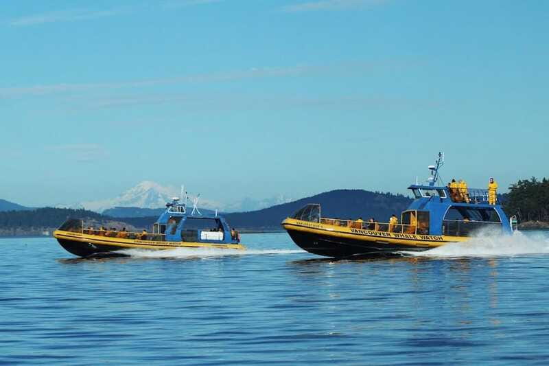 Vancouver, BC: Whale Watching Tour with Guide - Who this tour fits best (and who might want a different plan)