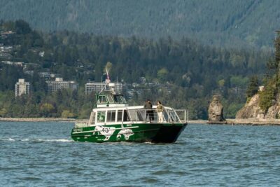 Vancouver: Catamaran Whale Watching Tour, Granville Island - Key things to know before you board