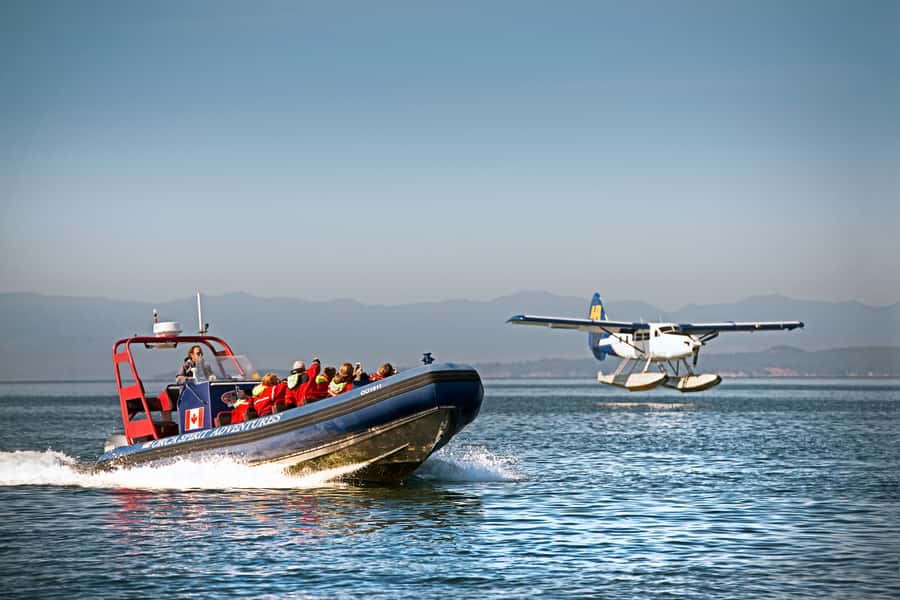 Vancouver: Day Trip to Victoria Seaplane with Whale Watching - Harbour Air terminal in Vancouver: where you start and what to watch