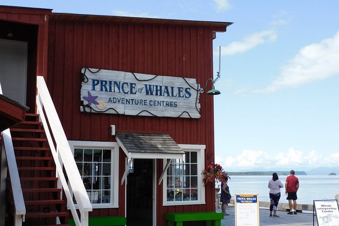Vancouver Island Half-Day Whale Watching Tour - Telegraph Cove - Live wildlife commentary: the difference between seeing and understanding