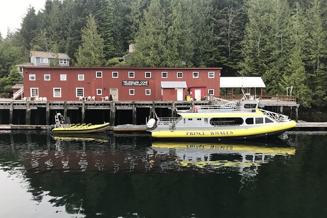 Vancouver Island Half-Day Whale Watching Tour - Telegraph Cove - Dressing for cold water and comfortable viewing