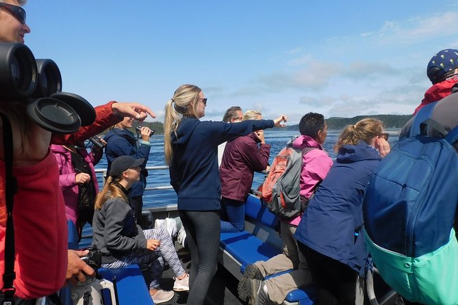 Vancouver Island Half-Day Whale Watching Tour - Telegraph Cove - Whale sightings guarantee: how it can save your trip