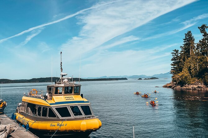 Vancouver Island Half-Day Whale Watching Tour - Telegraph Cove - What a 3-hour whale-watching run feels like on the water