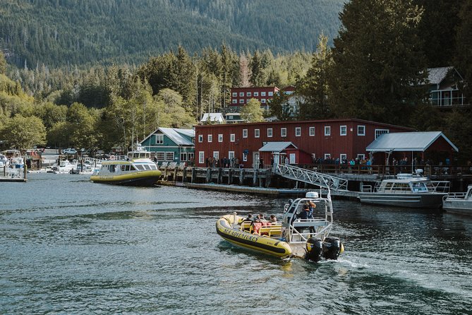 Vancouver Island Zodiac Whale Watching Adventure - Telegraph Cove - Key Highlights Worth Planning For