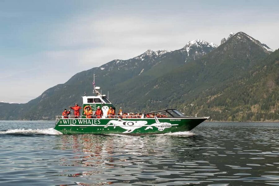 Vancouver: Open-air Whale Watching Tour, Granville Island - Marine naturalist coaching: how you learn to identify whales fast