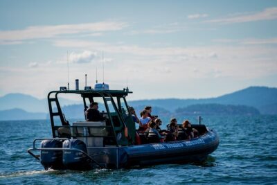 Vancouver's Intimate West Coast Whale Watching Experience - What the marine biology guide adds (and why it changes the whole day)