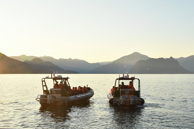Vancouver's Intimate West Coast Whale Watching Experience - Price and value: what $177.59 buys you in practice