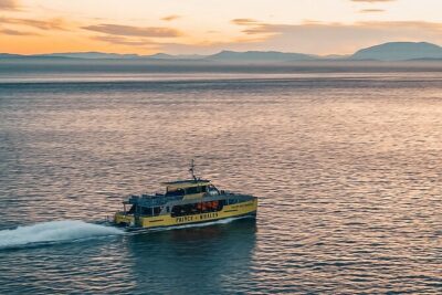 Vancouver Sunset Whale Watching Adventure with Free Photos - Sunset expectations: when the lights matter and when they don’t
