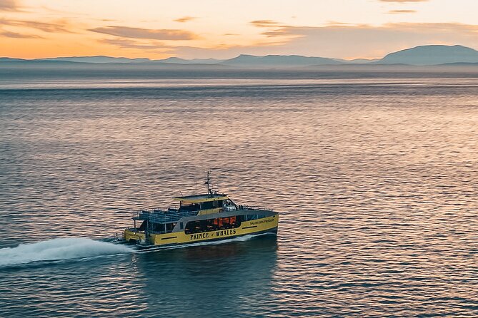 Vancouver Sunset Whale Watching Adventure with Free Photos - Sunset expectations: when the lights matter and when they don’t