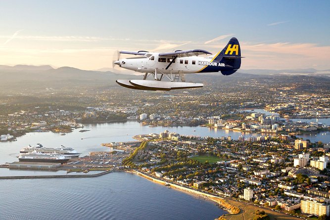 Vancouver-Victoria Day Trip by Seaplane + Whale Watching by Boat - The best guides make the difference: how spotters and captains work