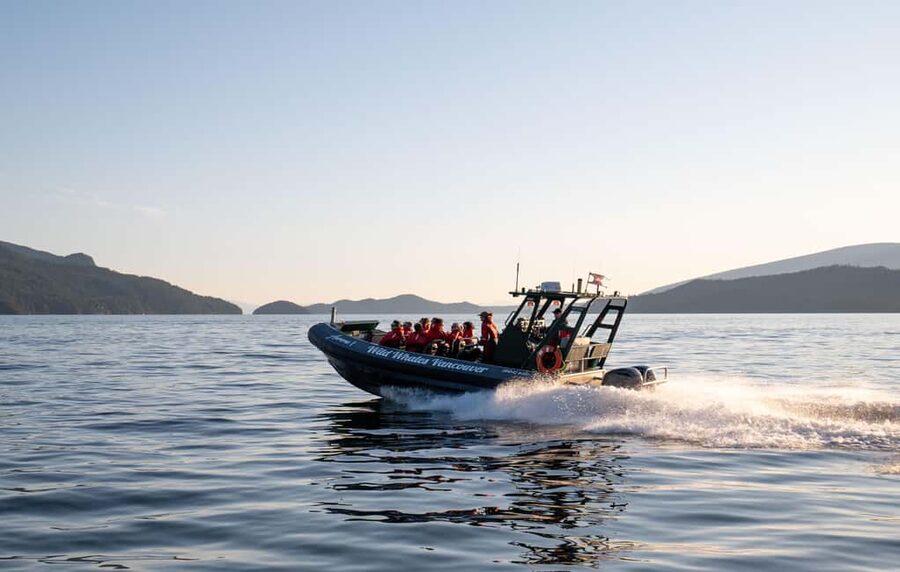 Vancouver: Zodiac Whale Watching Tour from Granville Island - Key things I’d watch for