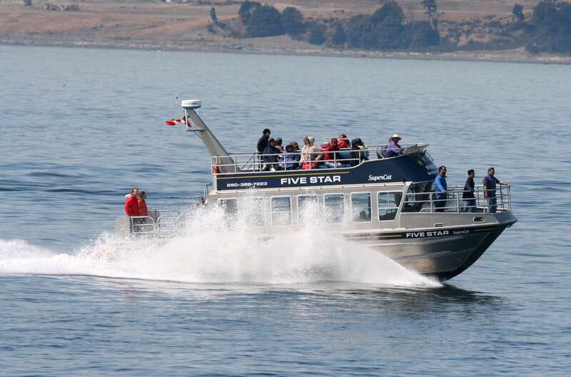 Victoria BC: 3-Hour Whale Watching Expedition - Where the tour starts: the Fairmont Empress area to the wharf