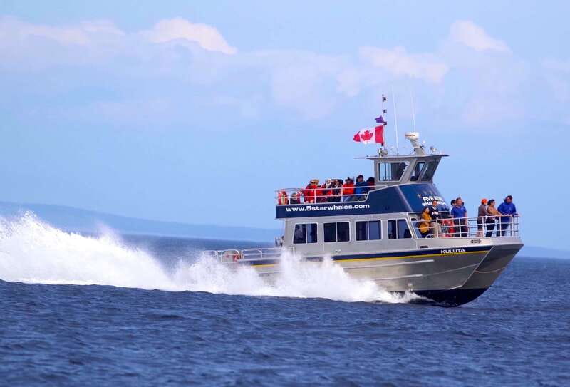 Victoria BC: 3-Hour Whale Watching Expedition - Who should book this whale watching expedition, and who should pass