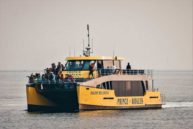 Victoria Half-Day Whale Watching Adventure with Free Photos - Cruising Victoria Before the Search: Sights You Might Miss from the Sidewalk