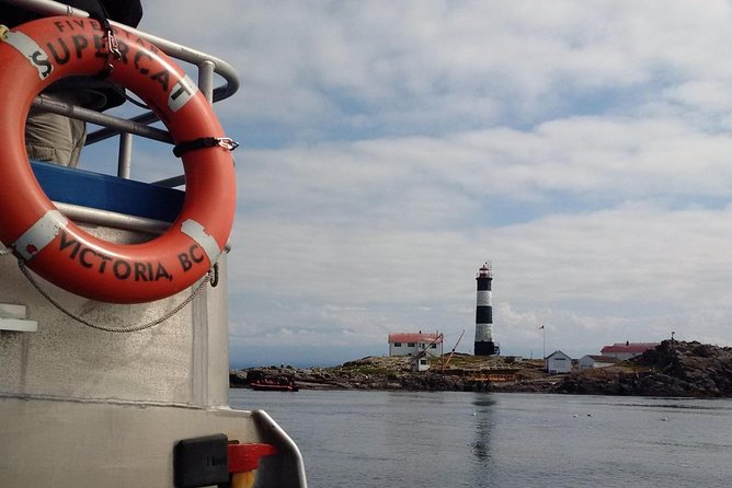 Victoria Shore Excursion: Whale-Watching Cruise with Expert Naturalist Guides - The value question: is $133.71 worth it?
