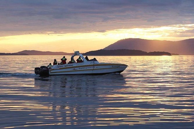 Victoria Sunset Whale-Watching Cruise - Watching the Salish Sea sunset, then cruising back for Victoria’s lights