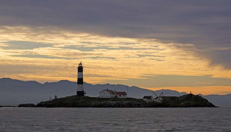 Victoria: Sunset Whale Watching Tour on an Open Scarab Boat - The Scarab boat: close views without feeling boxed in