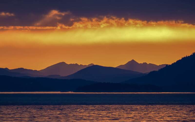 Victoria: Sunset Whale Watching Tour on Semi-Covered Boat - Key things I’d pay attention to